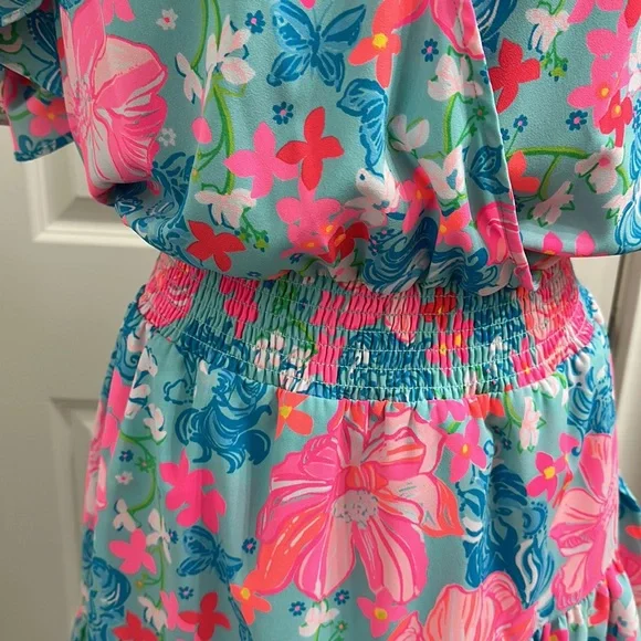 Like New Lilly Pulitzer Cristiana Stretch Dress - Picture 4 of 9